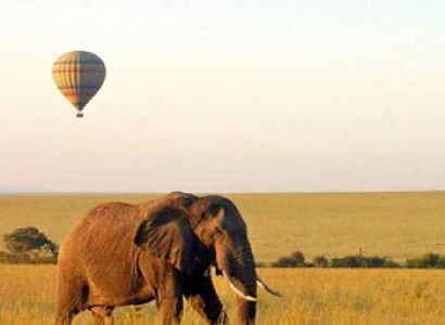 Privately Guided - Highlights Of Kenya & Tanzania Tour