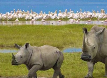 Tarangire - Ngorongoro - Serengeti Safari Tour