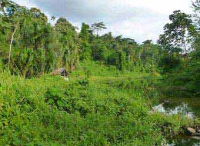 Grand Ecuador Including Amazon - Galapagos Cruise Tour