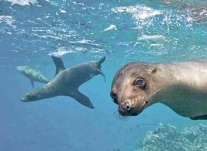 Quito - Galapagos Islands Cruise Tour