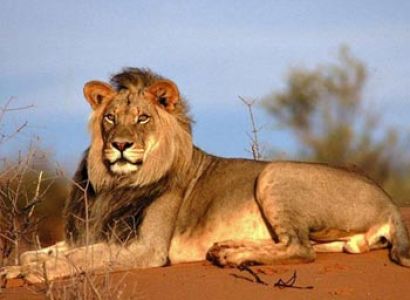 Exploring The Kalahari & Namibia - Privately Guided Tour