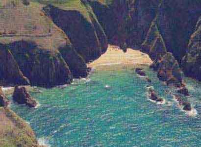 Botanical Gardens Of South Africa Self Drive Tour