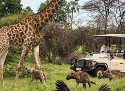 Victoria Falls Marathon - Botswana Safari Tour