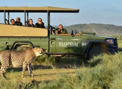 Cape Town - Winelands - Karoo Wildlife Reserve Tour