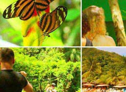 Zipline, Monkey Park, Botanical Garden & West Bay Beach Tour