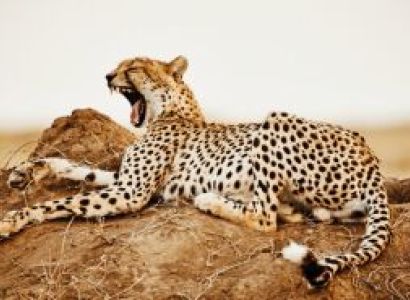 3 Nights 4 Days Arusha to Nothern Circuit Attractions