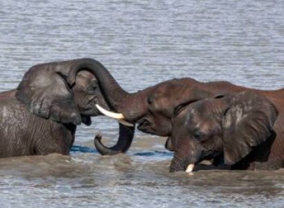 4 Night 5-Days Nothern Tanzania Camping Safari package