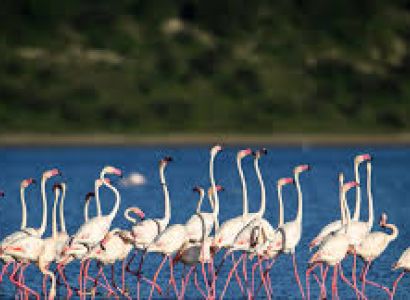 Lake Manyara, Serengeti & Ngorongoro - Luxury Tour