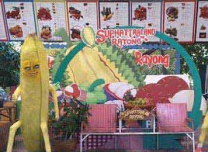 1 Day Supattra Land & Sanctuary of Truth Tour