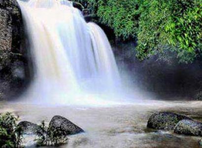 1 Day Khaoyai National Park & Trekking Tour
