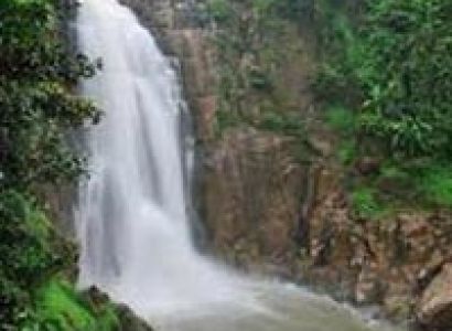 Khaoyai National Park & Trekking Tour