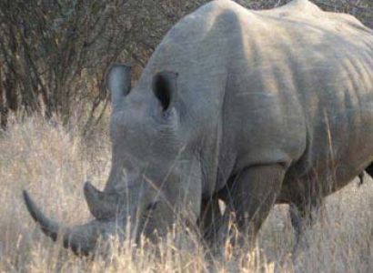 Garden Route Tour & Big 5 Kruger Park Safari