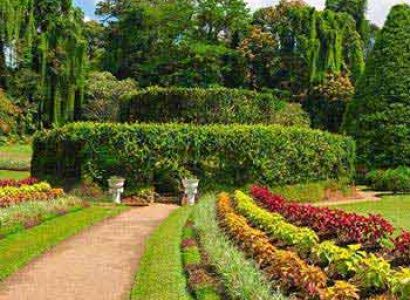 Pinnawala And Kandy Day Tour