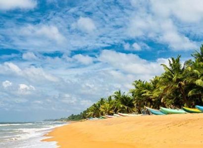 Sigiriya And Dambulla Day Tour