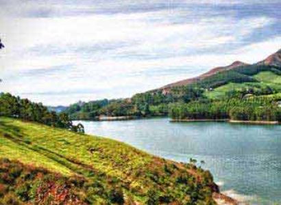 Bangalore - Munnar - Bangalore Tour