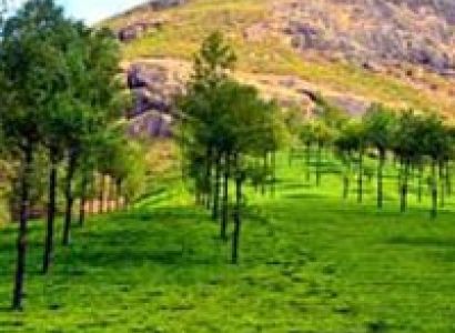 Chennai, Munnar, Chennai Tour