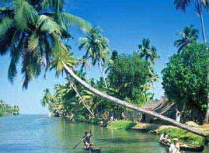 Cochin, Munnar, Alleppey, Cochin Tour