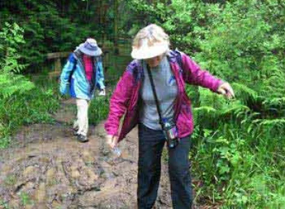 Vientiane – Orchid Trekking Tour