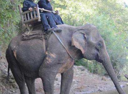 Luang Prabang – Mahout Course Tour