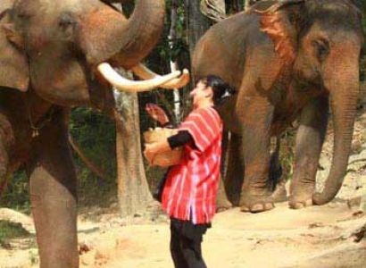 Chiang Rai Full Day Hill Tribes, Elephant, Boat Trip And Handicraft Tour