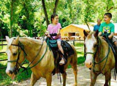 Horse Riding Tour