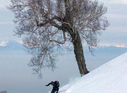Himachal Skiing Tour