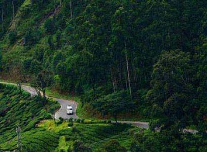 Kerala Backwater & Spice Tour