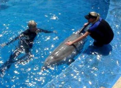 Goa Dolphin Ride Trip Tour