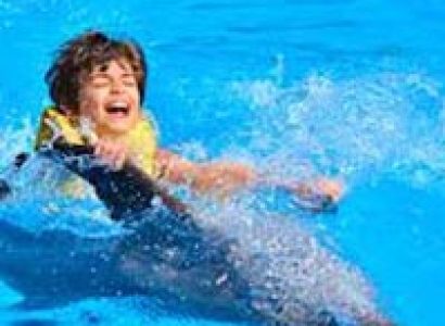 Tulum And Swim With Dolphins Tour