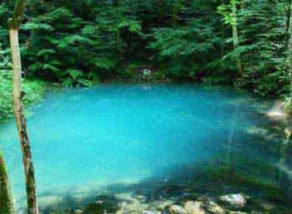 Off Road Adventure Tour In Wild Romania