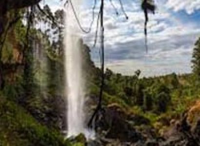 17 Days Special Journey Uganda Tour