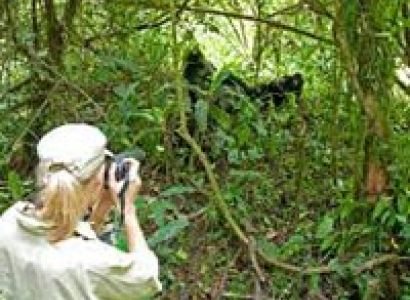 19 Days Uganda Safari Holidays Tour
