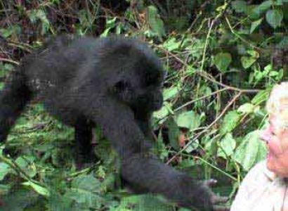 15 Day Self Drive Tour