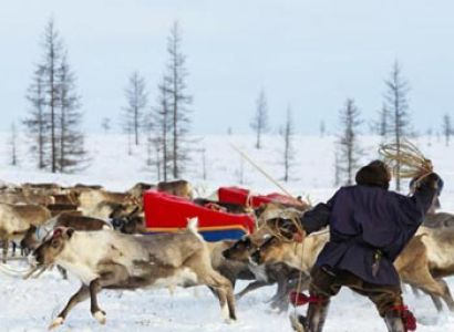 Reindeer Migration With The Nenets in Yamal Package