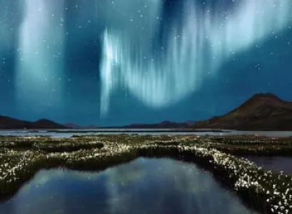 Arctic Rail Explorer - Quest for Northern Lights Package