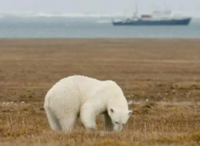 Wrangel Island Cruise – An Arctic Expedition Package