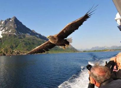 Norwegian Discovery Cruise Tour