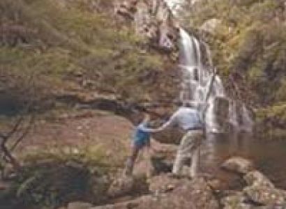 Wildlife Experience & Private Blue Mountains Day Trip Tour