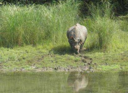 CHITWAN TOUR  PACKAGE