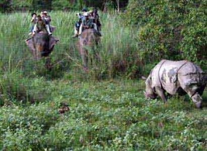 JUNGLE SAFARI TOUR PACKAGE