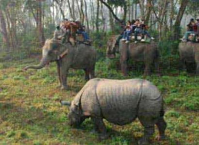 Kathmandu And Chitwan Tour Package