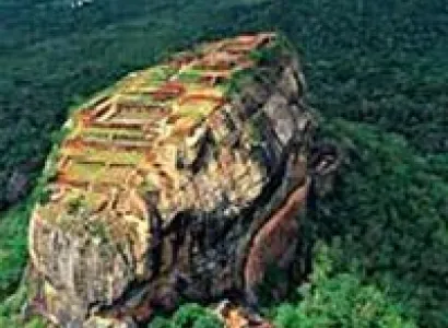 Animal Instinct Tour