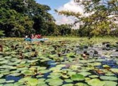 Classic Cultural Tour