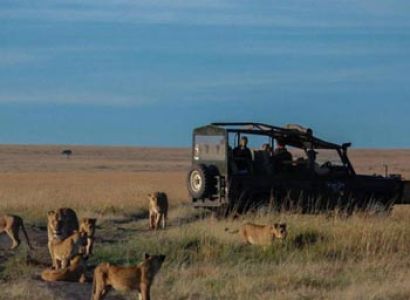 Iconic Africa Safari Tour