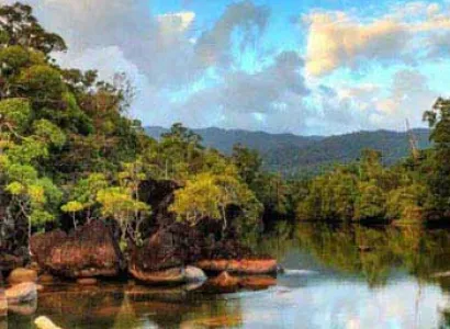 Madagascar Rainforest Wonderland Package