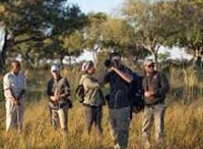 Botswana Into The Wilderness Tour