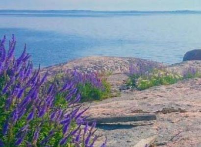 Turku Achipelago Kayaking Evening Tour
