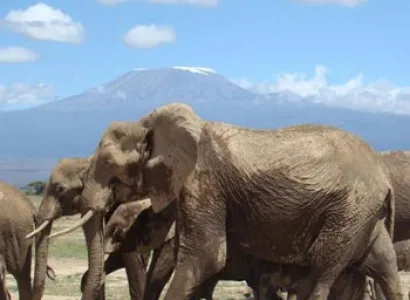 Amboseli National Park Package