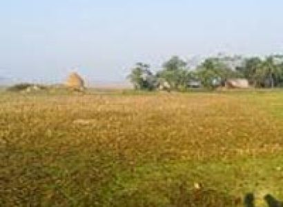 Dhaka-Nijhum Dip-Dhaka Package