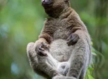 Discover the Eighth Continent Tour